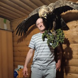  , 51, -