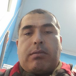 �����, ������, 40 ���