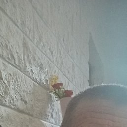 ������, ������, 53 ����