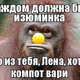 �����, �������, 45 ���