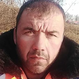 ���������, ������ ��������, 41 ���