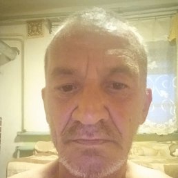 , 51, 