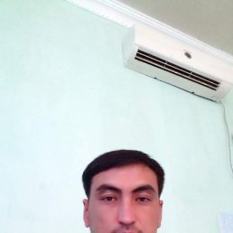 , 37, 