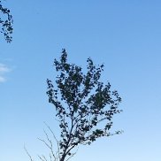 Наталия, 52 года, Кировск Наталия, 52 года, Кировск