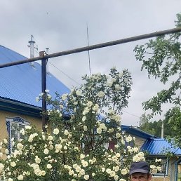 ������, �����������, 65 ���