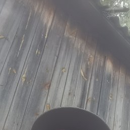 , 58, 