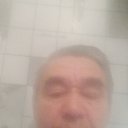 ���� ����, ������, 81 ��� - ��������� 16 ������ 2023 � ������ ���� ����������