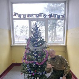 ������, �����������, 44 ����