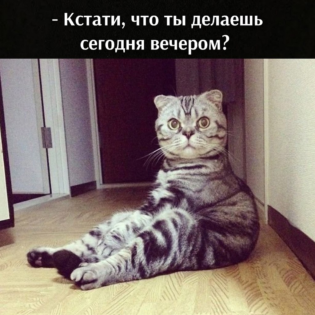      - 24  2024  15:58
