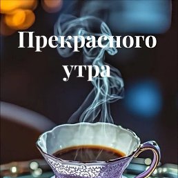 ���� ����, ������, 49 ��� - ��������� 3 ������� 2026