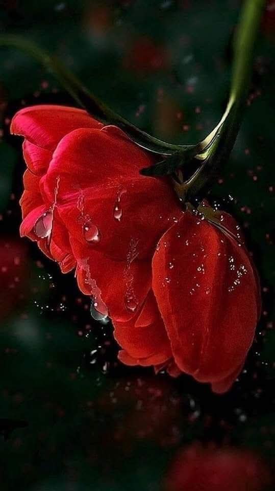 :) ...  :        ,     ...