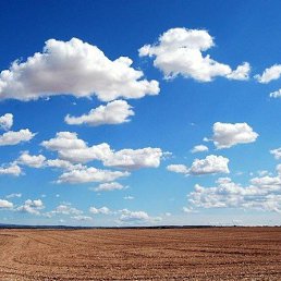 ���� ������, ������, 36 ��� - ��������� 3 ���� 2024