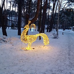 �������, ������, 39 ���