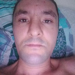 ������, �����, 46 ���