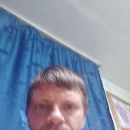 ����, 39 ���, �������