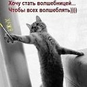 ���� ���������, ������, 51 ��� - ��������� 31 ������ 2026 � ������ ������ ��������