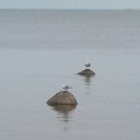 ���� L, ��������� - ��������� 8 ���� 2025 � ������ ���� ����������