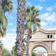 ������, 55 ���, ������ ��������