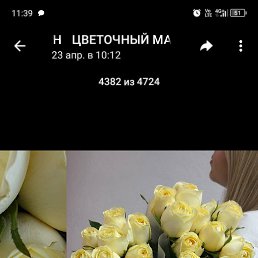 ���� ���������, ������ ��������, 57 ��� - ��������� 16 ��� 2026