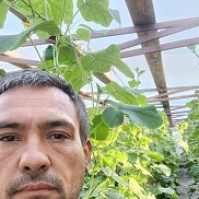 Sabir, 47 , 