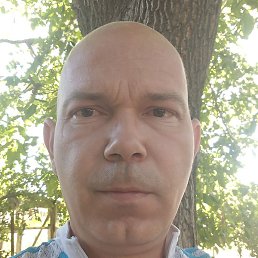 ��������, ���������, 43 ����