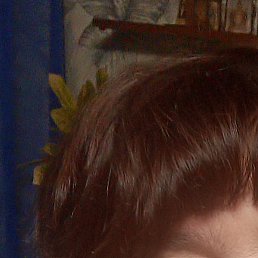 ����� ����������, ������, 49 ���