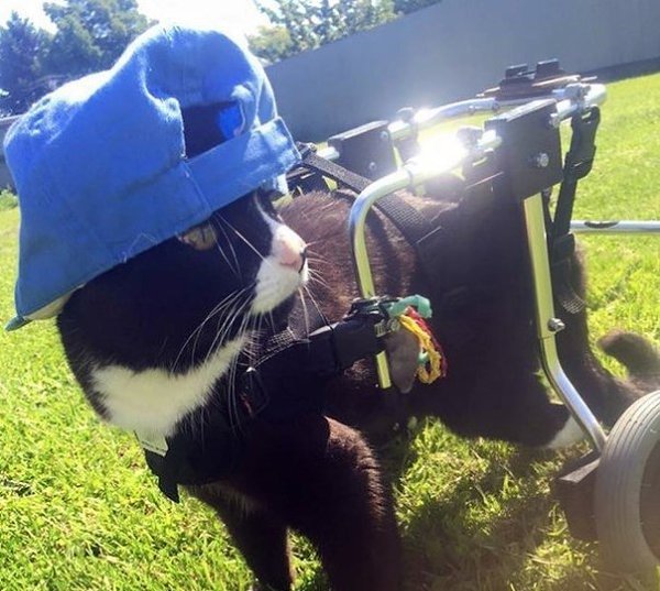 ��� �����.�����������, ����� � ��������� ������ ���������� ��� � ���������� �������. ����� �������, ... - 4