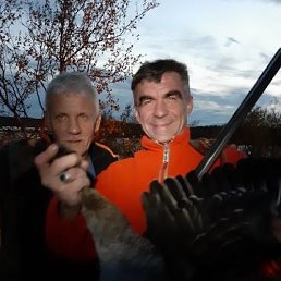 , 54, 