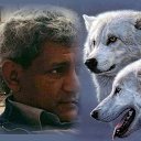  Wick, , 54  -  22  2025    