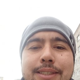 , 33, 