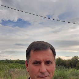 , 57, 