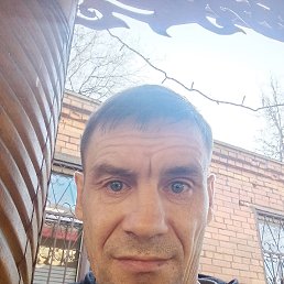 , 41 , -