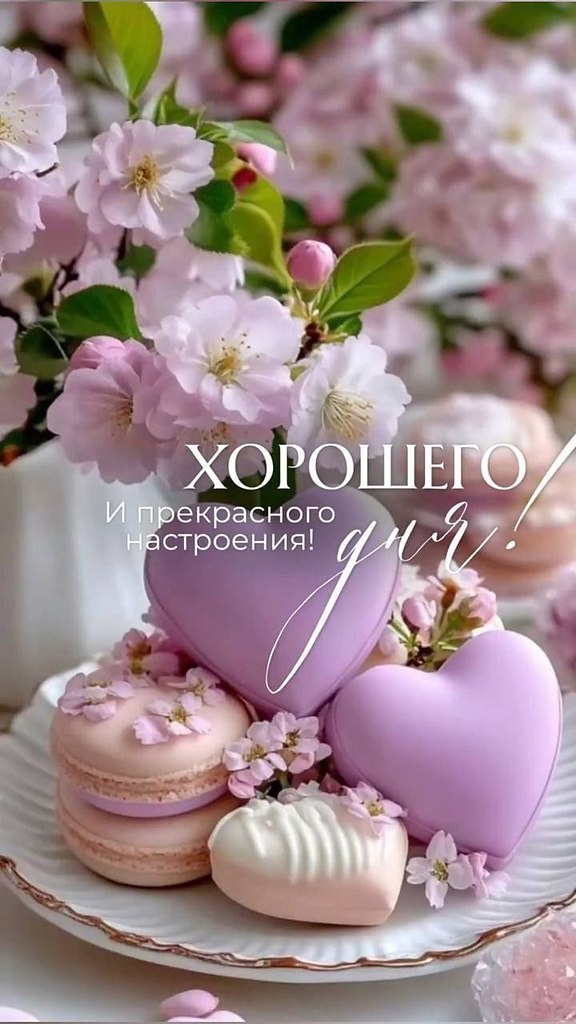   ,    . - 25  2025  15:47 - 3