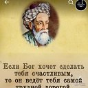 ���� �������, ������, 56 ��� - ��������� 14 ��� 2026 � ������ ���� ����������