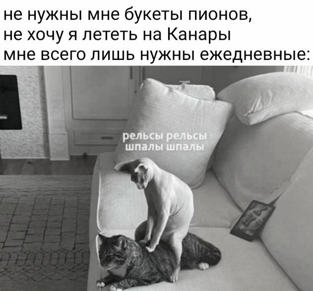 ������� ����� ������� ������ - 20 ������ 2026 � 06:21
