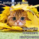 ���� ��������, ������, 59 ��� - ��������� 14 ������� 2024 � ������ ������ ��������