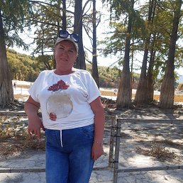 , 59,  