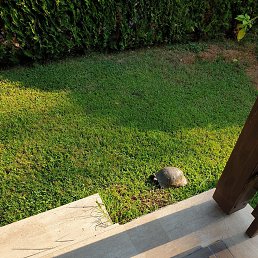 ���� Serega, ������, 43 ���� - ��������� 2 ������ 2026
