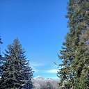 ���� ���, �����, 51 ��� - ��������� 25 ������ 2026 � ������ ������ ��������