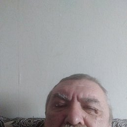 , 64, 