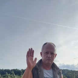 , 55, 