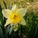 ���� �����, �����, 35 ��� - ��������� 7 ������� 2025 � ������ ���� ����������