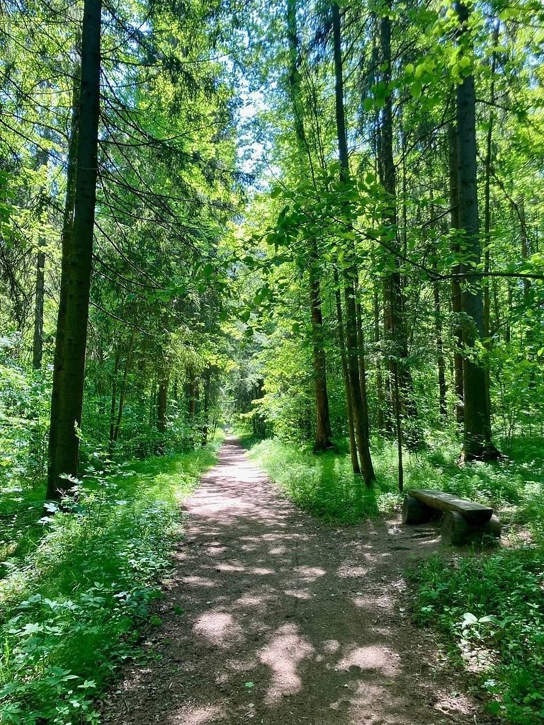 ������� ���������.� ���� �������� ������������ ������� � ����� XIX ���� ���� ������� ���������, ... - 3