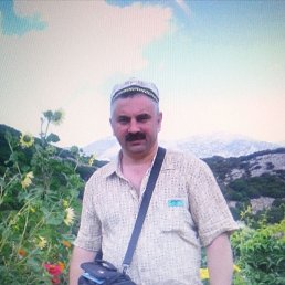 , 56, 