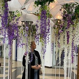 ����, ������, 41 ���