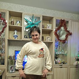 ����, 37 ���, ����������