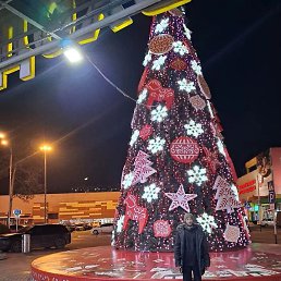 ������� �����������, ���������, 29 ���