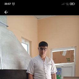 ����, ����, 41 ���