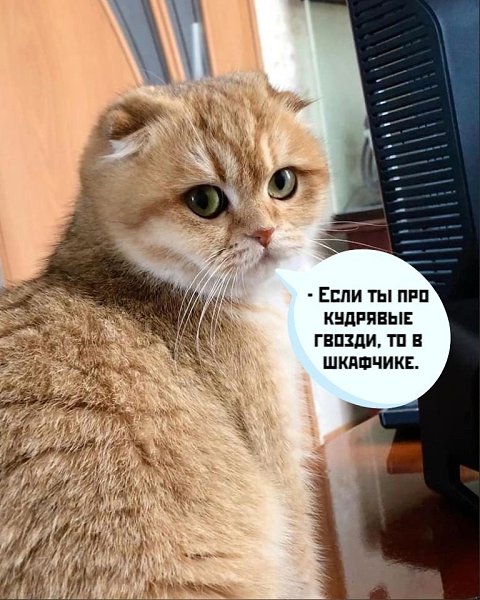     ) - 2