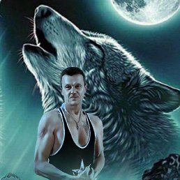 ���� ������, �������, 54 ���� - ��������� 16 ������� 2026